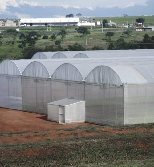 foto site produto